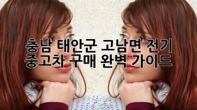충남 태안군 고남면 전기 중고차 구매 완벽 가이드