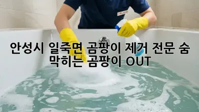 안성시 일죽면 곰팡이 제거 전문, ✨숨 막히는 곰팡이 OUT!✨
